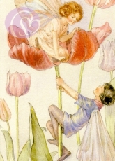 Postkarte Tulip Fairies