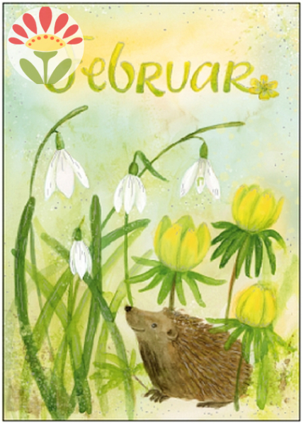 02/ Postkarte Februar, Igel