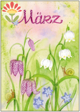 03/ Postkarte März, Schachbrettblumen