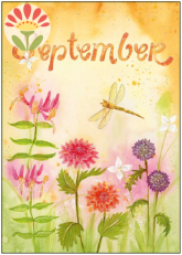 09/ Postkarte September, Wiesenblumen