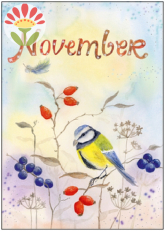 11/ Postkarte November, Blaumeise