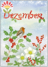 12/ Postkarte Dezember, Rotkelchen