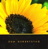 Postkarte Zum Geburtstag, Sonnenblume