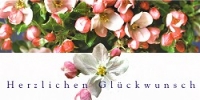 Postkarte Herzlichen Glückwunsch, Blüten